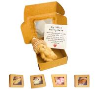 Little Bear in Box,Handmade Mini Plush Bear in Box,My Little Worry Bears,Pocket Bears with Inspirational Card,A Plush Animal for Friends Or Lovers (Brown)