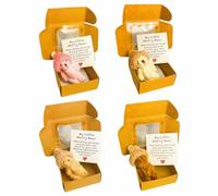 Little Bear in Box, Handmade Mini Plush Teddy Bear in Box, My Little Worry Bears, with Inspirational Card, Soft Handmade Teddy Keepsake for Lovers