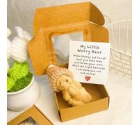 Little Bear in Box, My Little Worry Bear in a Box, Pocket Bears Hug, Handmade Mini Plush Teddy Bears with Hat, Send a Friend Stuffed Animals Sympathy Gift with Inspirational Card(Style A)
