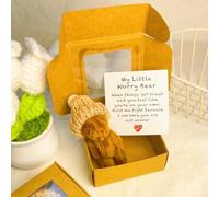 Little Bear in Box, My Little Worry Bear in a Box, Pocket Bears Hug, Handmade Mini Plush Teddy Bears with Hat, Send a Friend Stuffed Animals Sympathy Gift with Inspirational Card(Style B)