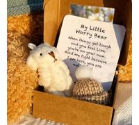Little Bear in Box, Worry Bear, Mini Pocket Hug with Token Card, Emotional Uplifting Support Pocket Hug Plush Animal Positive Gifts for Graduation Birthday Back to School (White)