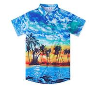 Little & Big Boy's Button Down Hawaiian Shirts Short Sleeve Cool Cartoon Print Aloha Dress Tops T-Shirt for Kids 7-14T - Multi - 11-12 Years