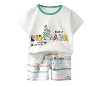 Little Big Boys Sets Casual Outfit Kids Dinosaur Monster Print top Short Sleeve Graphic tee Animal Summer Outfits Boys' Loose Comfortable Festival Clothes Set White