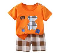 Little Big Boys Sets Casual Outfit Kids Dinosaur Monster Print top Short Sleeve Graphic tee Animal Summer Outfits Boys' Loose Comfortable Festival Clothes Set Light Yellow