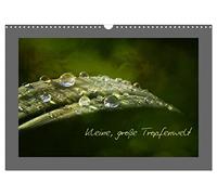 Little big drop world UK-Version (Wall Calendar 2026 DIN A3 Landscape), CALVENDO 12 Month Wall Calendar