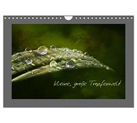 Little big drop world UK-Version (Wall Calendar 2026 DIN A4 Landscape), CALVENDO 12 Month Wall Calendar