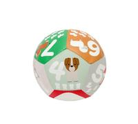 Little Big Friends Discovery Ball - Farm