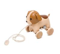 Little Big Friends Pull Along Adrien Dog