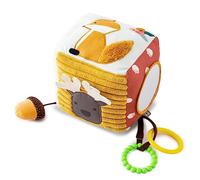 Little Big Friends Soft Activity Cube | Developmental Toy | Encourages Hand-Eye Coordination and Motor Skills | Forest