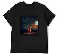 Little Big Town T Shirt Nightfall Vinyl cd Cover Men's T Shirt Black M