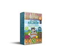 Little Big Paw Atlantic Salmon Complete Food for Adult Cats - 350g