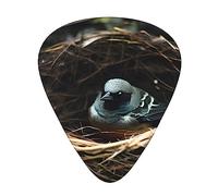 Little Bird Nest Guitar Picks, Premium Celluloid Picks For Enhanced Playability And Tone.