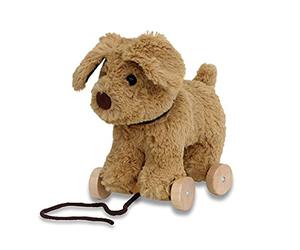 Little Bird Told Me Dexter Dog Pull Along Toy for Baby 6+ Months