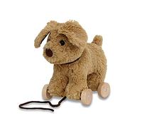 Little Bird Told Me - Dexter Dog Pull Along Toy for Baby 6+ Months Unisex - 2-in-1 Soft Toy, Removable Wheels, Sensory Plush Fabric - British Brand Since 2007
