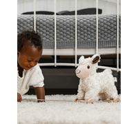 Little Bird Told Me Lambert Sheep Pull Along Toy - Neutral