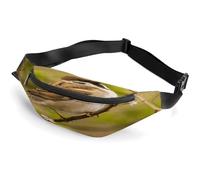 Little Bird Waist Bag,Durable Sling Bag with Adjustable Strap Crossbody Waist Bag,for Outdoors Workout Traveling Casual Running Hiking Cycling