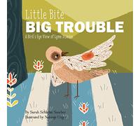 Little Bite, BIG Trouble: A Bird's-Eye View of Chronic Lyme Disease