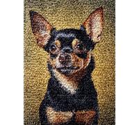 Little Black Chihuahua Dog Latch Hook Rug Kit for Adults DIY Carpet Cushion with Printed Canvas Crochet Yarn Craft Hook and Latch Tapestry for Home Decor Pets Warm Pads 52x38cm