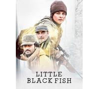 Little Black Fish