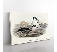 Little Blue Penguins By Elizabeth Gould Vintage Canvas Wall Art Print Ready to Hang, Framed Picture for Living Room Bedroom Home Office Décor, 60x40 cm (24x16 Inch)