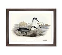Little Blue Penguins By Elizabeth Gould Vintage Framed Wall Art Print, Ready to Hang Picture for Living Room Bedroom Home Office Décor, Walnut A3 (46 x 34 cm)