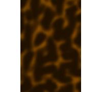 little book of notes: Fashionable, glossy, tortoiseshell 6"x9" lined notebook. Perfect chic gift for the stationery obsessed people in your life!