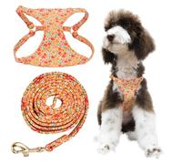 Little Boss Dog Harness and Leash Set, Adjustable Soft Comfortable No Choke Dog Vest Harness with Leash, No Pull Floral Pattern Puppy Harness for Small Medium Dogs Cats