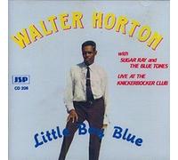 Little Boy Blue by Walter Horton