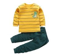 Little Boys Girls Pajamas Dinosaur Animals 2 Piece Train Toddler Kids Cartoon Sleepwear Fall Clothes Set Yellow