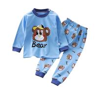 Little Boys Girls Pajamas Dinosaur Animals 2 Piece Train Toddler Kids Cartoon Sleepwear Fall Clothes Set Kitty Toddler Sky Blue