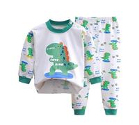 Little Boys Girls Pajamas Dinosaur Animals 2 Piece Train Toddler Kids Cartoon Sleepwear Fall Clothes Set Cute Bathrobes Kids Mint Green