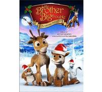 Little Brother Big Trouble: A Christmas Adventure [DVD] [Region 1] [US Import] [NTSC]