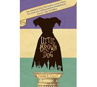 Little Brown Dog