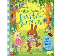 Little Bunny's Easter Surprise