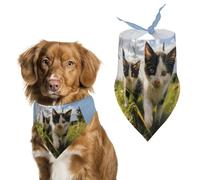 Little Cat on The Grass Dog Bandana Washable & Adjustable Triangle Scarf, Breathable Pet Scarf for Small Medium Large Pets, Cute Fashion Pet Accessory