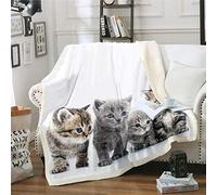 Little Cat Plush - Lovely Pet Cat Themed Design Fleece Throw for Sofa, Bed, Room Decor - Cute Kitten Print - Double 60x79 Inch