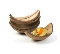 Little Cherry Eco Friendly Coconut Bowls | Biodegradable Coconut Shell Bowls Great Eco Alternative to Wooden Bowl or Bamboo Bowl | Coconut Bowl for All Events (Coconut Boat - 5 Inch, 5 Pack)