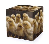 Little Chickens Magic Cube,The Original 3x3 Cube,Speed Cube Problem-Solving Brain Teaser,Easy Turning Sensory Puzzle Toy,Sensory Stress Relief Form Fidget Toys