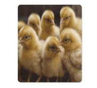 Little Chickens Mouse Pad Thin Mouse Mat 12.44
