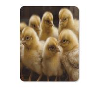 Little Chickens Mouse Pad Thin Mouse Mat 13.68