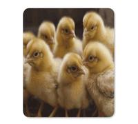 Little Chickens Mouse Pad Thin Mouse Mat 14.22