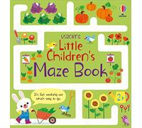 Little Children's Maze Book