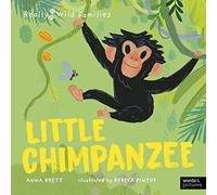 Little Chimpanzee
