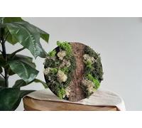 Little Creations DIY moss painting reindeer moss white decoration set