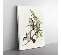 Little Cuckoo Birds By Elizabeth Gould Vintage Canvas Wall Art Print Ready to Hang, Framed Picture for Living Room Bedroom Home Office Décor, 60x40 cm (24x16 Inch)