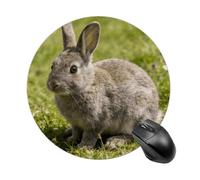 Little Cutie Mouse Pad Desk Mat,Mousepad