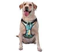 Little Dinosaur in Green Grass Large Printed pet Traction Vest for Pets to wear When Walking The Dog or Climbing Mountains