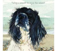 Little Dog Laughed The Birthday/Blank Funny Card for Men/Women - General Humour Male/Female Card - Springer Spaniel Greeting Card