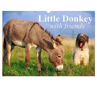 Little Donkey with Friends (Wall Calendar 2027 DIN A3 landscape), CALVENDO 12 Month Wall Calendar: Sweet donkey with his lovley Friends