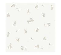 Little Dutch Baby Bunny Wallpaper